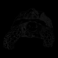 Sulcata Tortoise African Spurred Tortoise Turtle Snapback Trucker Cap | Artistshot