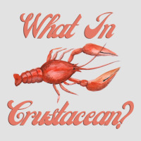 What In Crustacean  Cute Crustaceancore Foam Trucker Hat | Artistshot