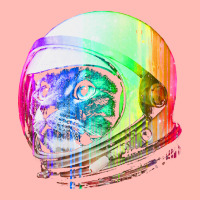 Astronaut Space Cat Urban Heavy T-shirt | Artistshot