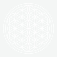 Flower Of Life Sacred Geometry Urban Pullover Hoodie | Artistshot