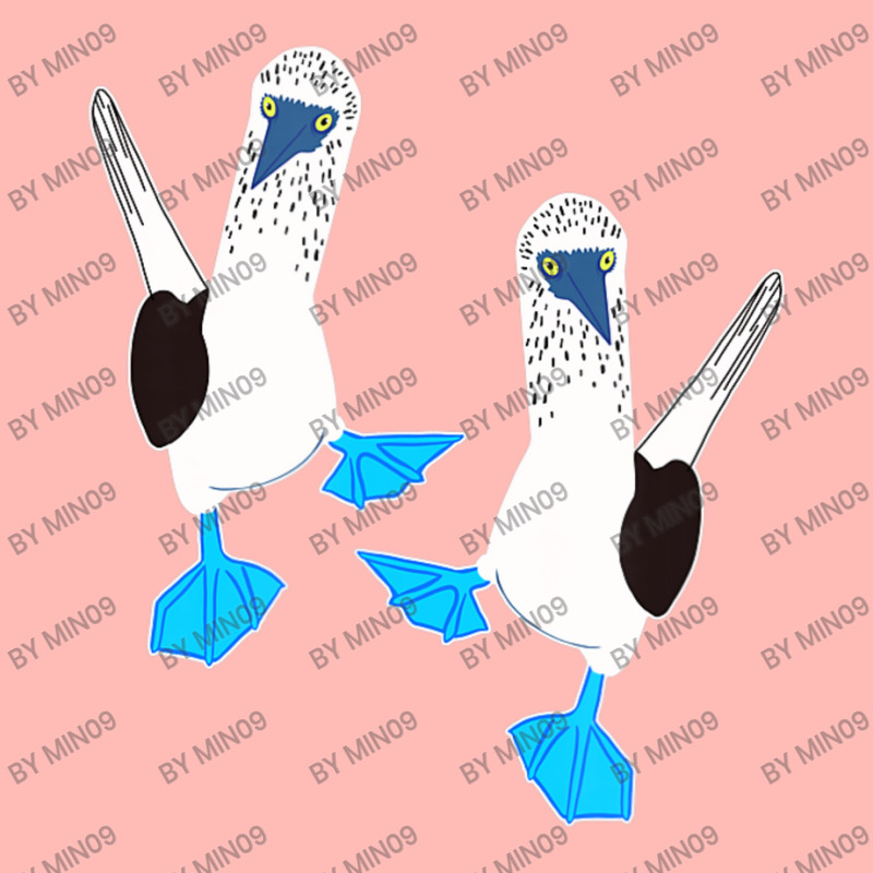 Cute Pair Of Blue-footed Boobies Urban Pullover Hoodie by Min09 | Artistshot