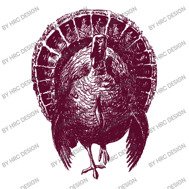 Vintage Turkey Women's V-Neck T-Shirt by HRC Design | Artistshot