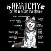 Funny Anatomy Alaskan Malamute Dog Lover T Shirt 5 Panel Snapback Cap | Artistshot