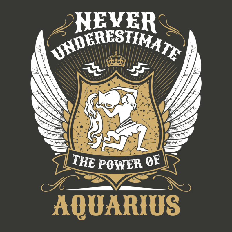 Never Underestimate The Power Of Aquarius Lightweight Hoodie | Artistshot