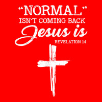 Normal Isn't Coming Back But Jesus Is Revelation 14 Costume T Shirt 5 Panel Snapback Cap | Artistshot