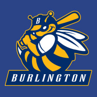 Burlington Bees (1) Nike Dri-fit Cap | Artistshot