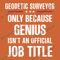 Gift For Genius Geodetic Surveyor Nike Dri-fit Cap | Artistshot