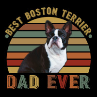 Best Boston Terrier Dad Ever Retro Vintage Father's Day Youth Hoodie | Artistshot