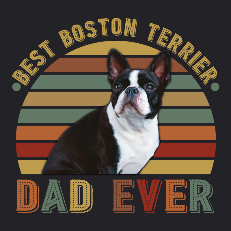 Best Boston Terrier Dad Ever Retro Vintage Father's Day Youth Tee | Artistshot