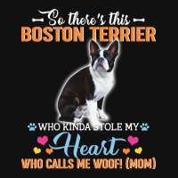 So There's This Boston Terrier Who Kinda Stole My Heart Who Calls Me W Baby Beanies | Artistshot