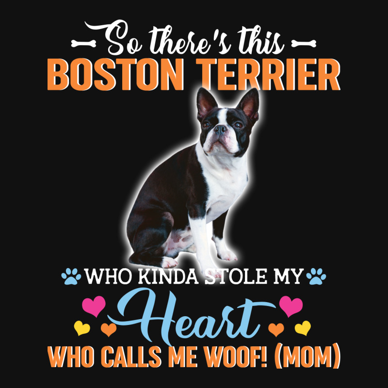 So There's This Boston Terrier Who Kinda Stole My Heart Who Calls Me W Baby Bibs by vip.pro123 | Artistshot