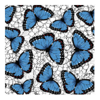 Bluemorphopar T  Shirt Blue Morpho Butterfly 3 T  Shirt Foam Snapback Hat | Artistshot