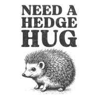 Cute Hedgehog Hug For Animal Pun Introverts Lover Raglan Crop Top | Artistshot