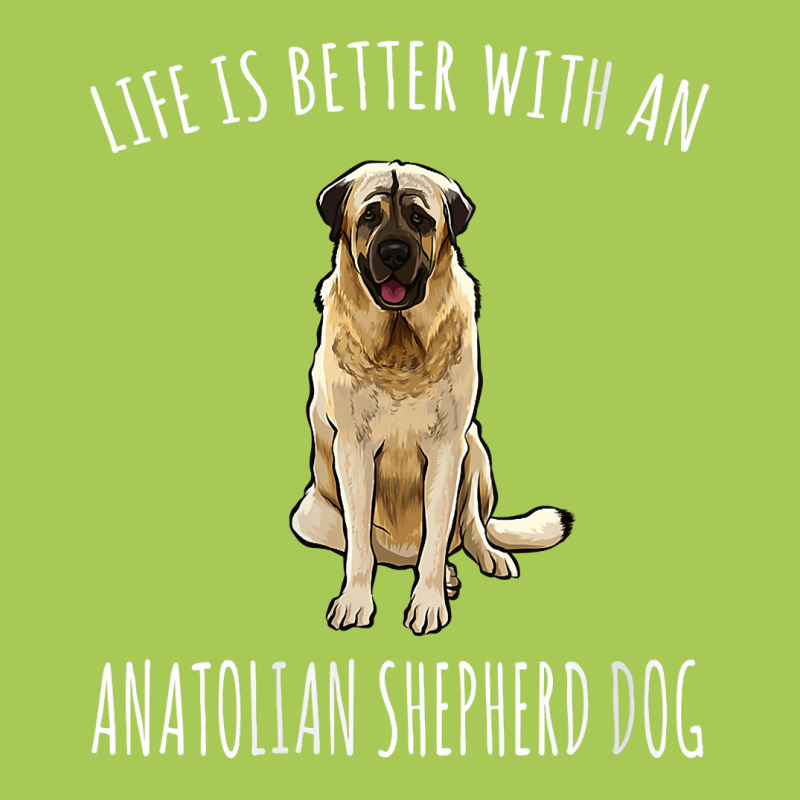 Womens Life Is Better With A Anatolian Shepherd Dog Lover V Neck T Shi Fashion Visor by JahmayaWhittle | Artistshot