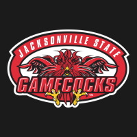 Gamecocks Jacksonville Nike Dri-fit Cap | Artistshot