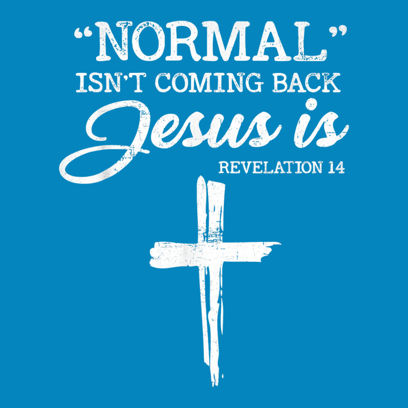 Normal Isn't Coming Back But Jesus Is Revelation 14 Costume T Shirt Fashion Visor by renelonganecker | Artistshot