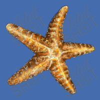 Starfish Fashion Visor | Artistshot