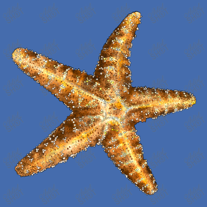 Starfish Fashion Visor | Artistshot