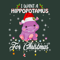 Hippopotamus I Want A Hippopotamus For Christmas Xmas Hippo 1282 Hippo Fashion Visor | Artistshot