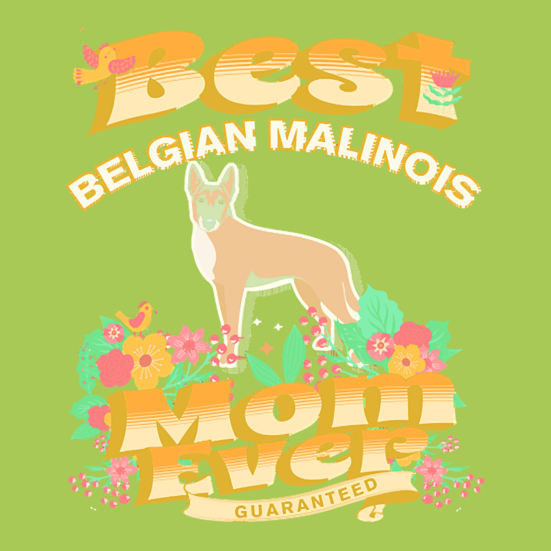 Dog Moms T  Shirt Best Belgian Malinois Mom   Dog Mom, Dog Owner Gifts Fashion Visor by lovelynippy | Artistshot