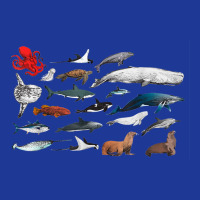 Sea Creatures Collection, Fish Shark Whale Moonfish Fish Motif T Shirt Pa Trucker Cap | Artistshot