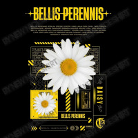 Bellis Perennis Graphic T-shirt | Artistshot