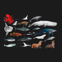 Sea Creatures Collection, Fish Shark Whale Moonfish Fish Motif T Shirt Nike Dri-fit Cap | Artistshot