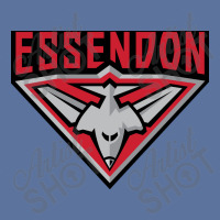 Essendon Fc Lightweight Hoodie | Artistshot