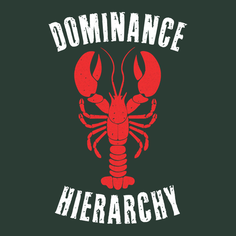 Dr Peterson Shirt Dominance Hierarchy Lobster 12 Rules Bucko Fashion Visor by plancefbtluceka | Artistshot