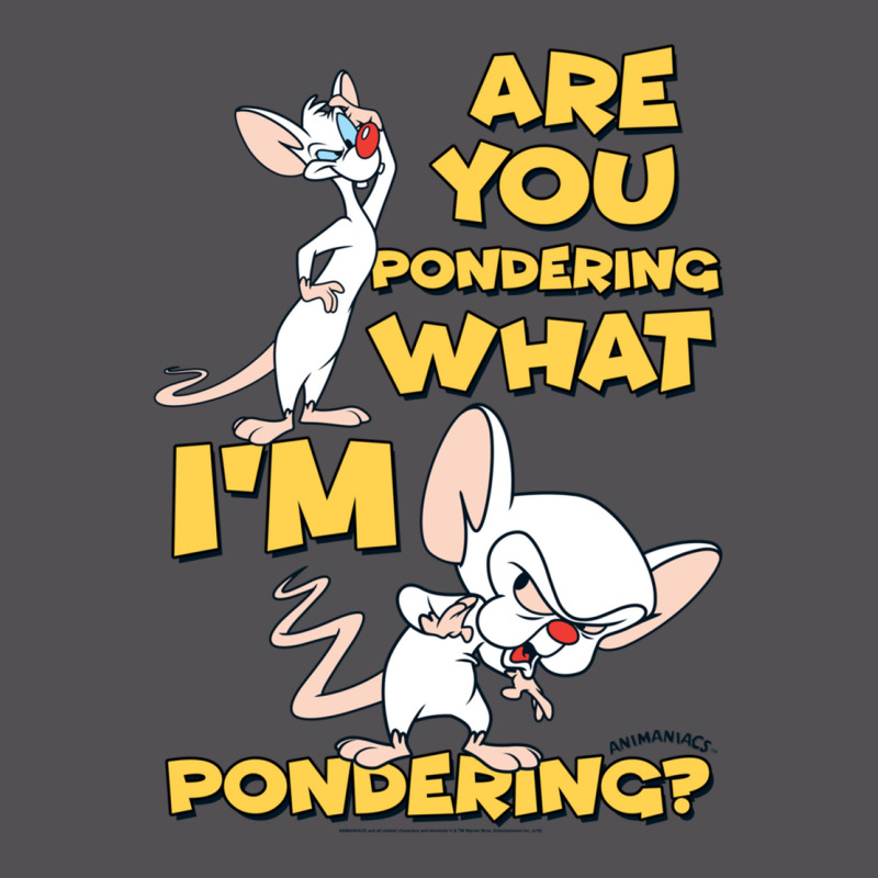 Pinky And The Brain Pondering Long Sleeve T Shirt Yupoong Trucker Cap | Artistshot