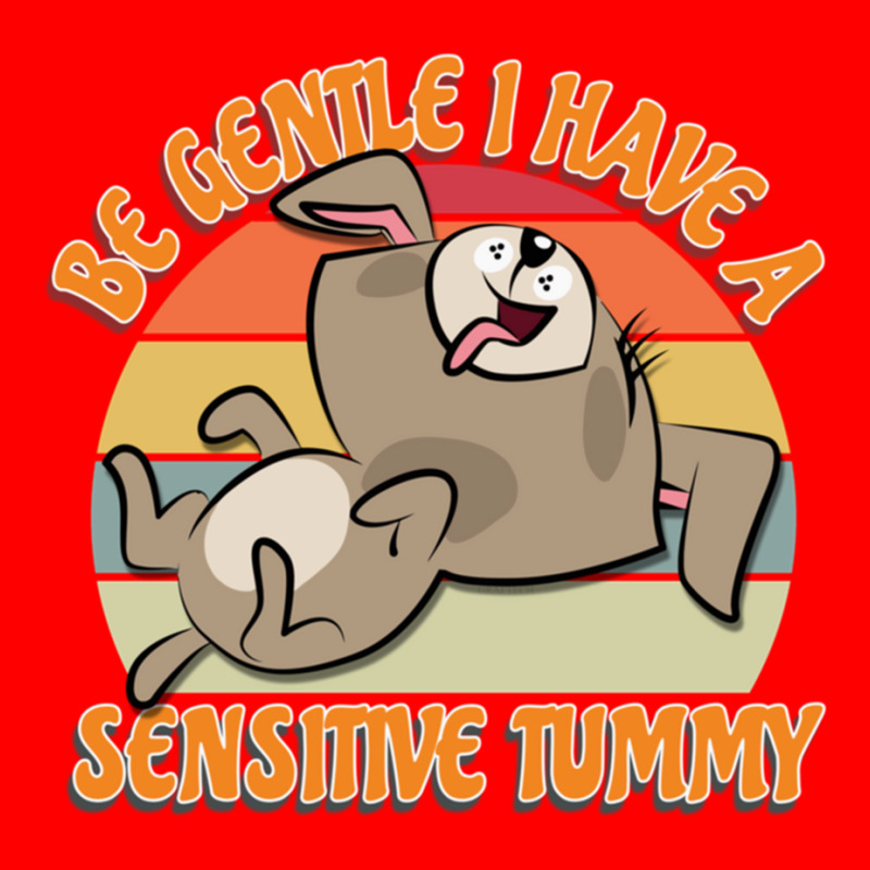 Be Gentle I Have A Sensitive Tummy  Dog Lover 5 panel snapback cap by cm-arts | Artistshot