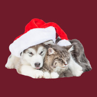 Cute Siberian Husky Puppy Santa Hat Image Christmas Cat Dog Premium T Retro Trucker Cap | Artistshot