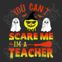 You Can't Scare Me I'm A Teacher Exclusive T-shirt | Artistshot