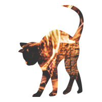 This Cat Is On Fire Seamless Cap | Artistshot