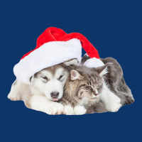 Cute Siberian Husky Puppy Santa Hat Image Christmas Cat Dog Premium T Seamless Cap | Artistshot