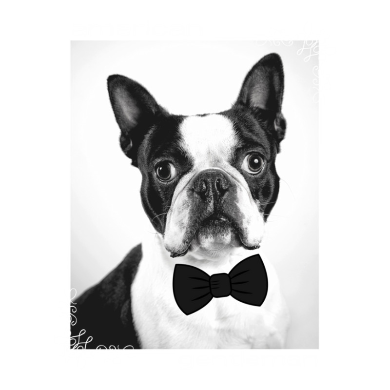 Boston Terrier Bowtie Seamless Cap by AudreyRussian | Artistshot