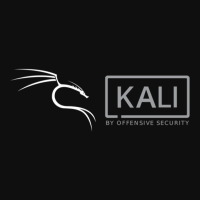 Kali Offensive Security Linux Foam Snapback Hat | Artistshot