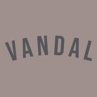 Vandal By Kid Vandal Pullover Hoodie 5 Panel Snapback Cap | Artistshot