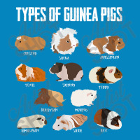 Guinea Pig Girl Design  Types Of Guinea Pigs Guinea Gift Fashion Visor | Artistshot