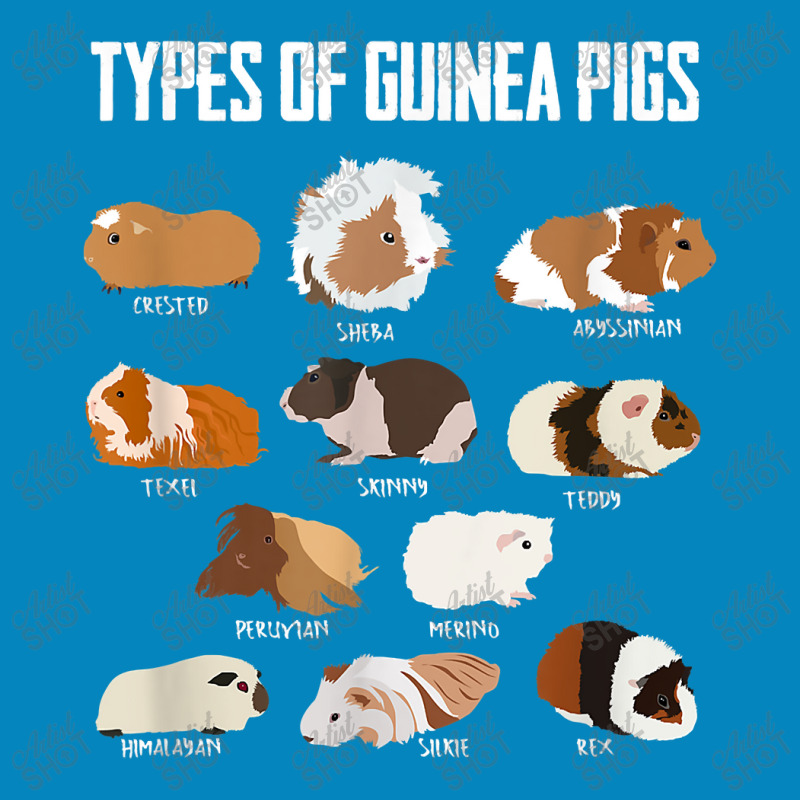 Guinea Pig Girl Design  Types Of Guinea Pigs Guinea Gift Fashion Visor by ArtistRaven | Artistshot