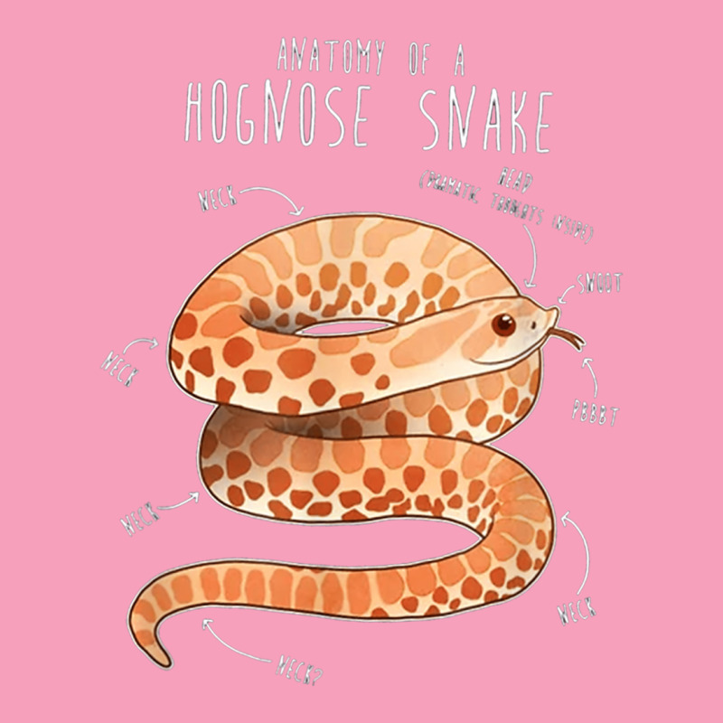 Anatomy Of A Albino Hognose Snake Retro Trucker Cap by AmberKelsey | Artistshot