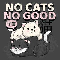 No Cats No Good Basic Youth T-shirt | Artistshot