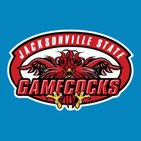 Be  Jacksonville-gamecocks  Baseball Fashion Visor | Artistshot