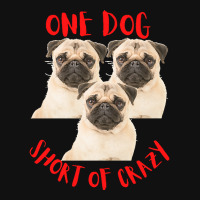 One Dog Short Of Crazy T  Shirtone Dog Short Of Crazy T  Shirt (10) Baby Beanies | Artistshot