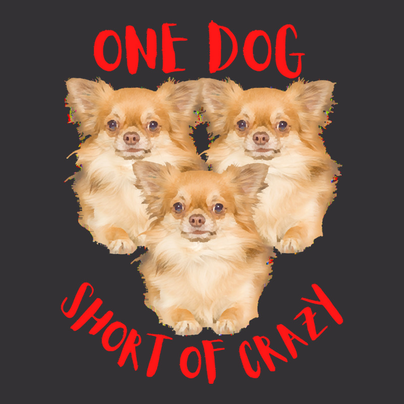 One Dog Short Of Crazy T  Shirtone Dog Short Of Crazy T  Shirt (8) Vintage Hoodie | Artistshot