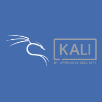 Kali Offensive Security Linux Fashion Visor | Artistshot