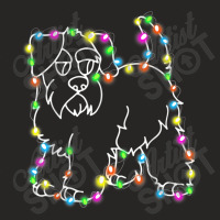 Schnauzer Dog Tree Christmas Lights Ladies Fitted T-shirt | Artistshot