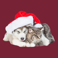 Cute Siberian Husky Puppy Santa Hat Image Christmas Cat Dog Premium T Nike Dri-fit Cap | Artistshot