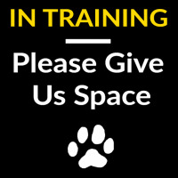 In Training Please Give Us Space For Dog Trainers Dog Owner Pullover H Fleece Short | Artistshot