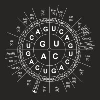 Genetics Genetic Sun Biology Biochemistry Biochemist Science Pullover Ladies Fitted T-shirt | Artistshot